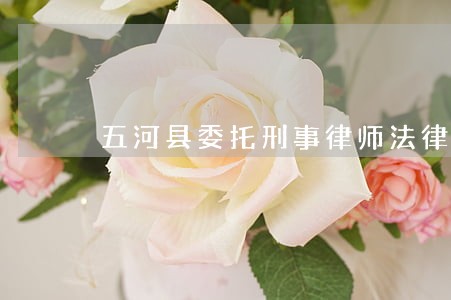 五河县委托刑事律师法律咨询 五河县委托刑事律师法律咨询