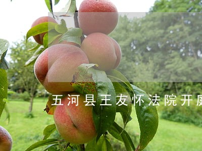 五河县王友怀法院开庭 五河县王友怀法院开庭