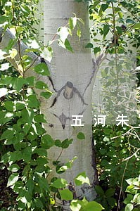 五河朱顶镇刑事律师 五河朱顶镇刑事律师