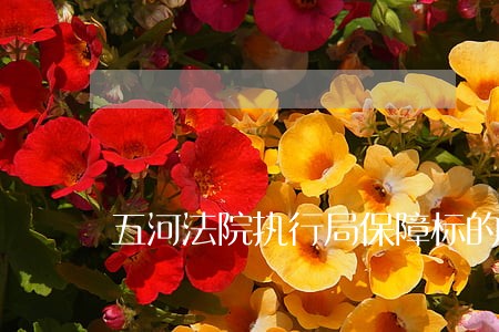 五河法院执行局保障标的物交付 五河法院执行局保障标的物交付