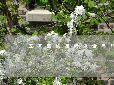 五河离婚律师电话号码
