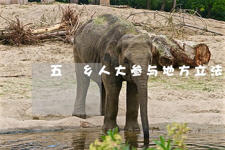 五滧乡人大参与地方立法开了好头 五滧乡人大参与地方立法开了好头