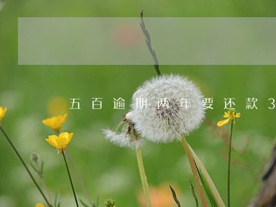 五百逾期两年要还款3000 五百逾期两年要还款3000