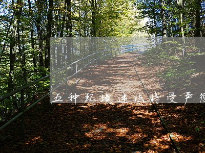 五种环境违法将受严惩重罚 五种环境违法将受严惩重罚