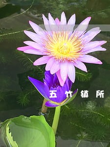 五竹镇所电话 五竹镇所电话