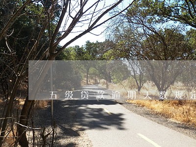 五级贷款逾期天数规定 五级贷款逾期天数规定