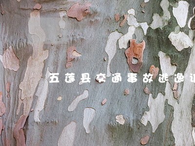 五莲县交通事故逃逸诉讼律师 五莲县交通事故逃逸诉讼律师