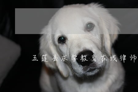 五莲县求学教育在线律师咨询 五莲县求学教育在线律师咨询