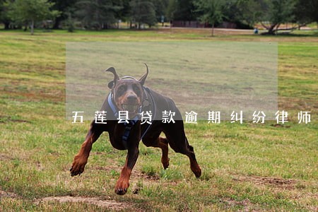 五莲县贷款逾期纠纷律师 五莲县贷款逾期纠纷律师