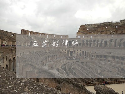 五莲好律师 五莲好律师