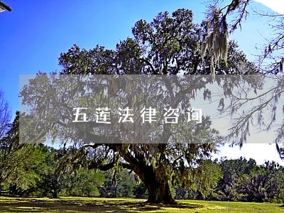五莲法律咨询 五莲法律咨询