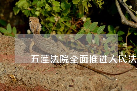 五莲法院全面推进人民法庭建设 五莲法院全面推进人民法庭建设