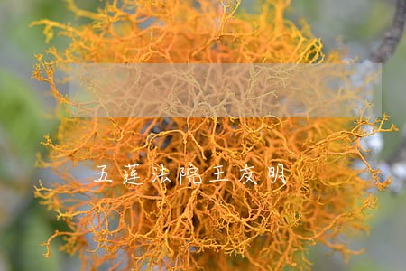 五莲法院王友明 五莲法院王友明