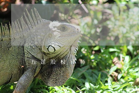 五莲股权律师 五莲股权律师