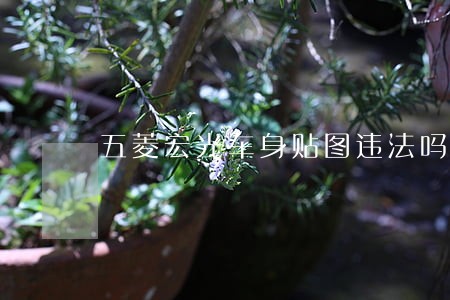 五菱宏光车身贴图违法吗 五菱宏光车身贴图违法吗