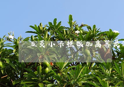五菱小卡栏板加高算是违法改装吗 五菱小卡栏板加高算是违法改装吗