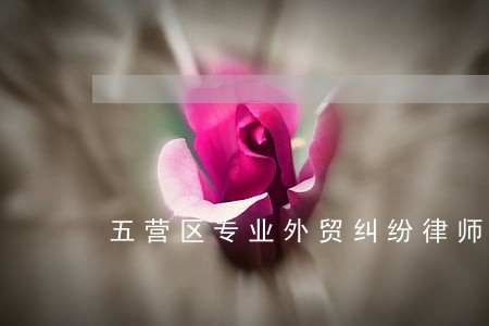 五营区专业外贸纠纷律师 五营区专业外贸纠纷律师