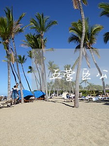 五营区公司上市在线律师咨询 五营区公司上市在线律师咨询