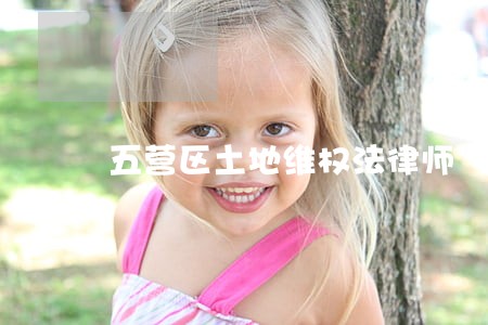 五营区土地维权法律师 五营区土地维权法律师