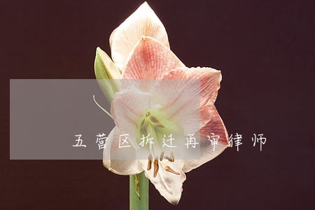 五营区拆迁再审律师