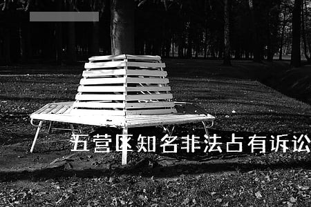 五营区知名非法占有诉讼律师 五营区知名非法占有诉讼律师