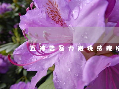 五被告暴力阻挠法院执行被判刑 五被告暴力阻挠法院执行被判刑