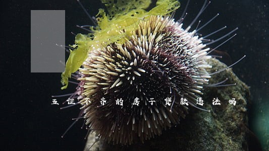 五证不齐的房子贷款违法吗 五证不齐的房子贷款违法吗