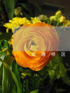 五通桥区商场转让合同律师 五通桥区商场转让合同律师