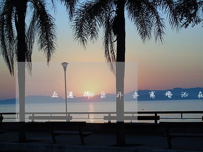 五通桥区补办离婚证在哪里办 五通桥区补办离婚证在哪里办