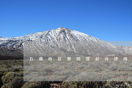 五通桥区重婚罪起诉律师