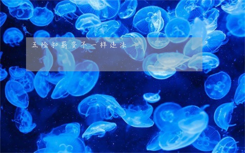 五险和薪资不一样违法
