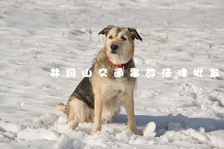 井冈山交通事故法律批发 井冈山交通事故法律批发