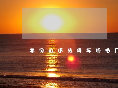 井冈山违法停车抓拍厂家批发价格 井冈山违法停车抓拍厂家批发价格