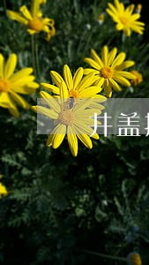 井盖把车胎割破赔付司法解释 井盖把车胎割破赔付司法解释