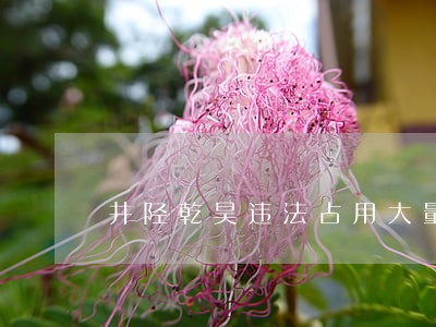 井陉乾昊违法占用大量耕地 井陉乾昊违法占用大量耕地