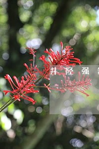 井陉强制执行一起排除妨碍案