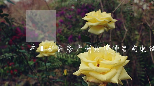 井陉矿区房产纠纷律师咨询电话 井陉矿区房产纠纷律师咨询电话