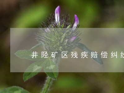 井陉矿区残疾赔偿纠纷律师 井陉矿区残疾赔偿纠纷律师