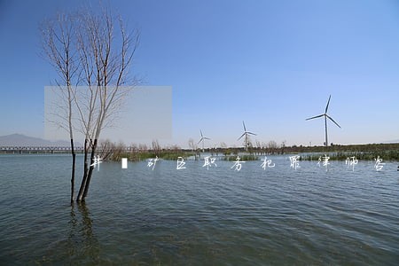 井陉矿区职务犯罪律师咨询电话 井陉矿区职务犯罪律师咨询电话