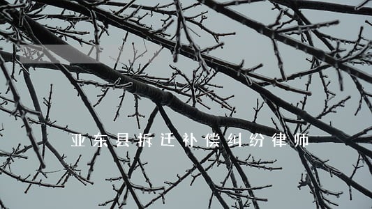 亚东县拆迁补偿纠纷律师 亚东县拆迁补偿纠纷律师