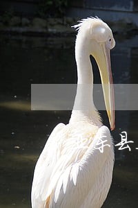 亚东县违反保密协议纠纷律师 亚东县违反保密协议纠纷律师