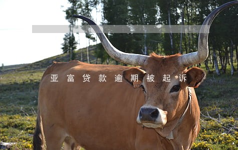 亚富贷款逾期被起诉 亚富贷款逾期被起诉