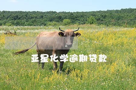 亚星化学逾期贷款 亚星化学逾期贷款