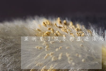 亚洲龙了改方向盘违法吗 亚洲龙了改方向盘违法吗