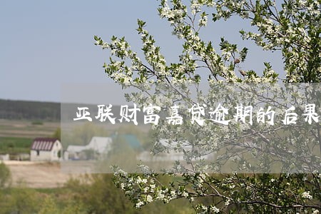 亚联财富嘉贷逾期的后果 亚联财富嘉贷逾期的后果