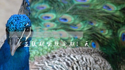 亚联财贷款逾期1天 亚联财贷款逾期1天