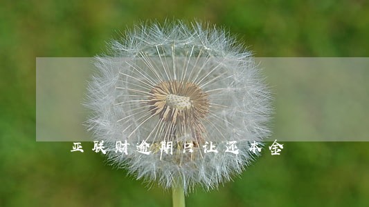 亚联财逾期只让还本金 亚联财逾期只让还本金