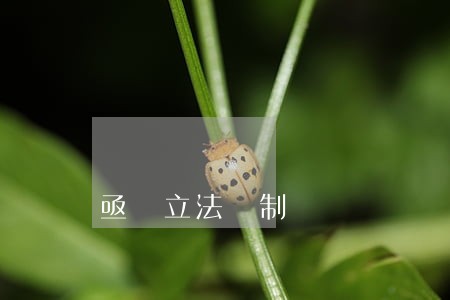 亟須立法規制 亟須立法規制