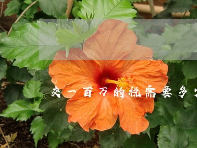 交一百万的税需要多少钱 交一百万的税需要多少钱