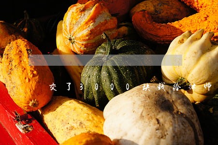 交了3000块钱给律师诉讼离婚 交了3000块钱给律师诉讼离婚